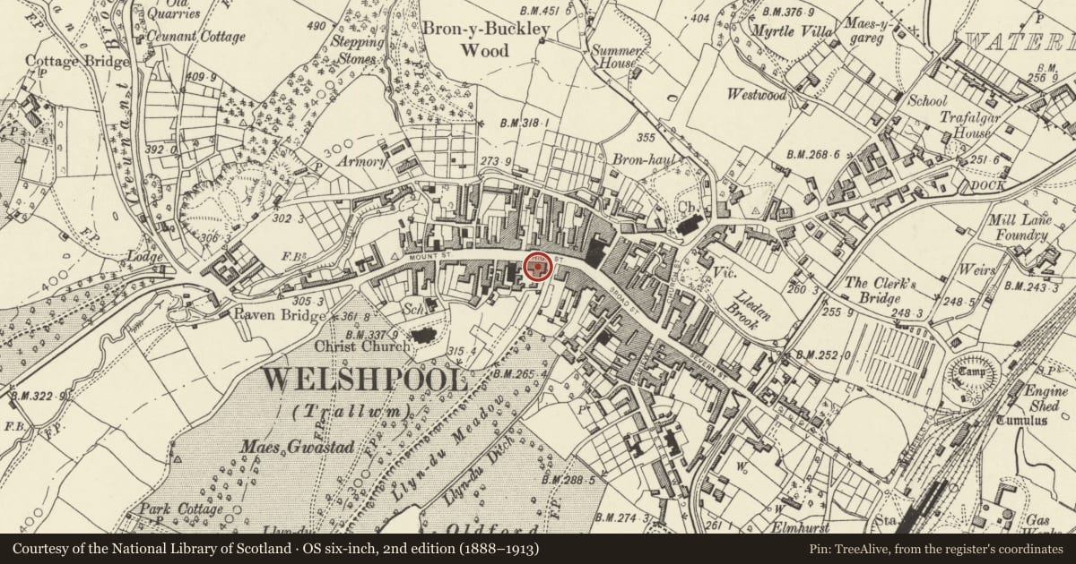 Ordnance Survey six-inch map, 2nd edition (1888–1913) covering the location of Park Lane House including railings to street, Welshpool, Powys, with a pin at the register's coordinates