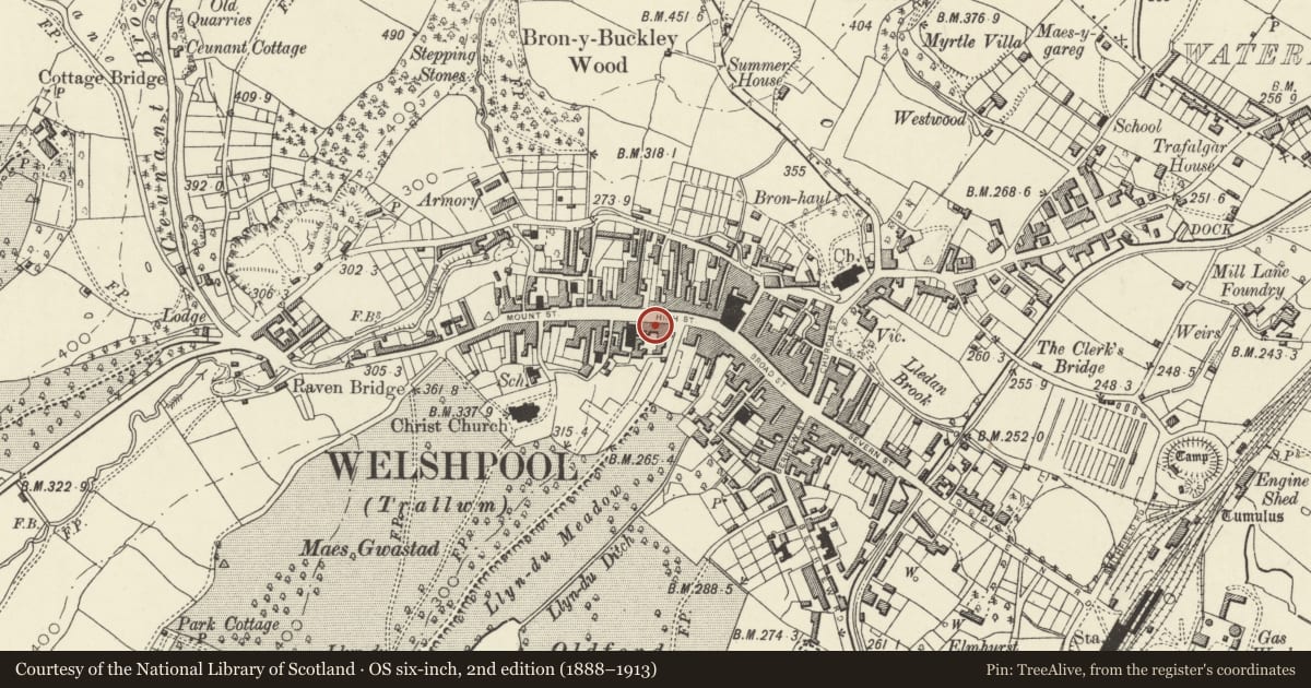 Ordnance Survey six-inch map, 2nd edition (1888–1913) covering the location of 8 High Street, Welshpool, Powys, with a pin at the register's coordinates