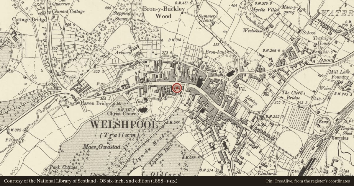 Ordnance Survey six-inch map, 2nd edition (1888–1913) covering the location of 9 high street, Welshpool, Powys, with a pin at the register's coordinates