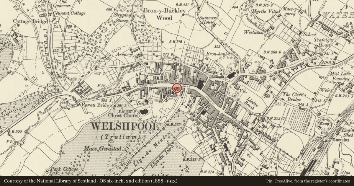 Ordnance Survey six-inch map, 2nd edition (1888–1913) covering the location of 11 High Street, Welshpool, Powys, with a pin at the register's coordinates