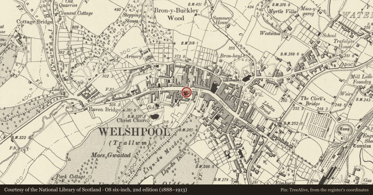 Ordnance Survey six-inch map, 2nd edition (1888–1913) covering the location of Ael-y-Bryn including forecourt railings and steps, Welshpool, Powys, with a pin at the register's coordinates