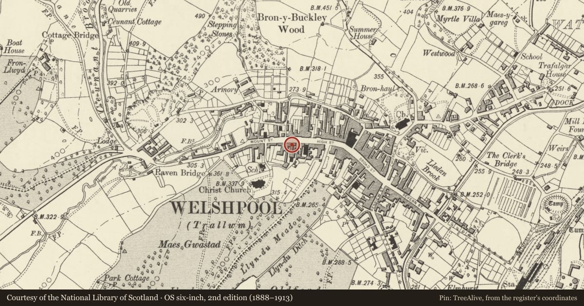Ordnance Survey six-inch map, 2nd edition (1888–1913) covering the location of Talbot Public House, Welshpool, Powys, with a pin at the register's coordinates