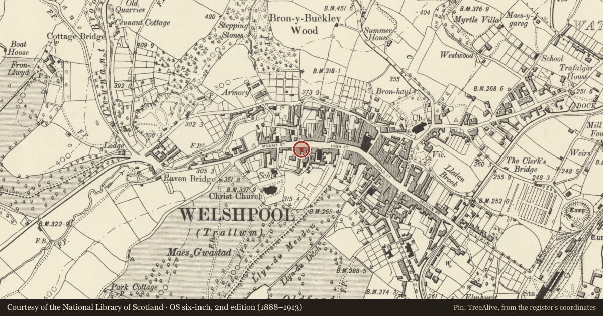 Ordnance Survey six-inch map, 2nd edition (1888–1913) covering the location of 17 High Street, Welshpool, Powys, with a pin at the register's coordinates