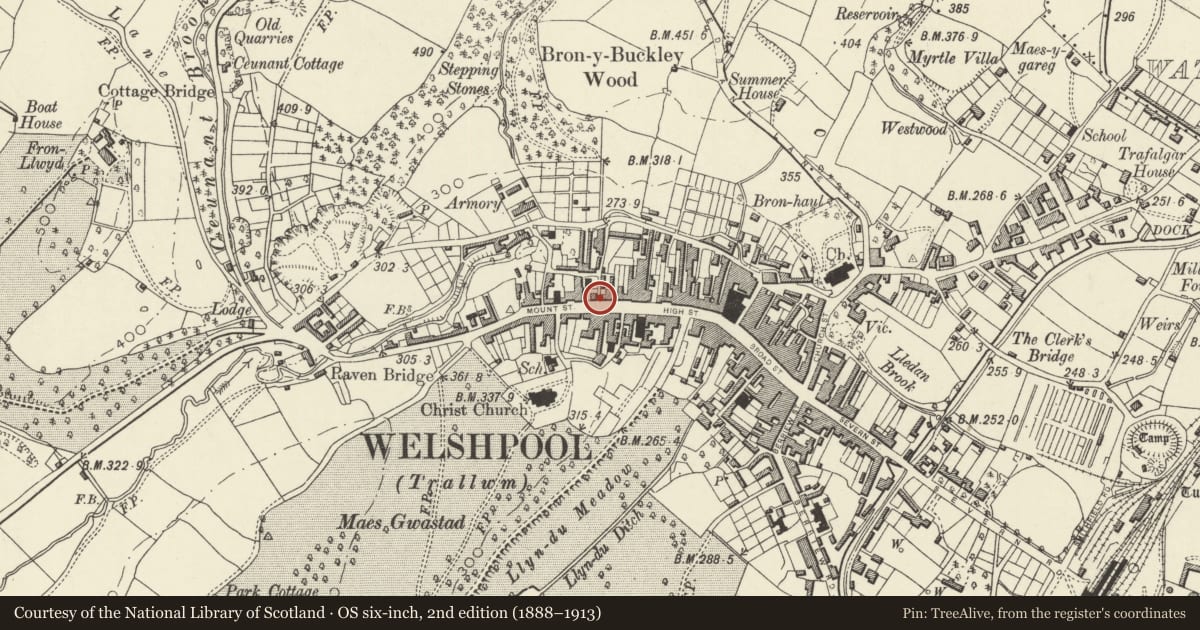 Ordnance Survey six-inch map, 2nd edition (1888–1913) covering the location of 20 High Street, Welshpool, Powys, with a pin at the register's coordinates