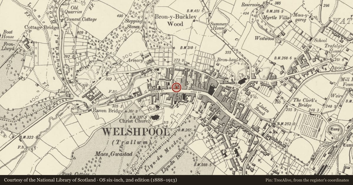 Ordnance Survey six-inch map, 2nd edition (1888–1913) covering the location of 24 High Street, Welshpool, Powys, with a pin at the register's coordinates
