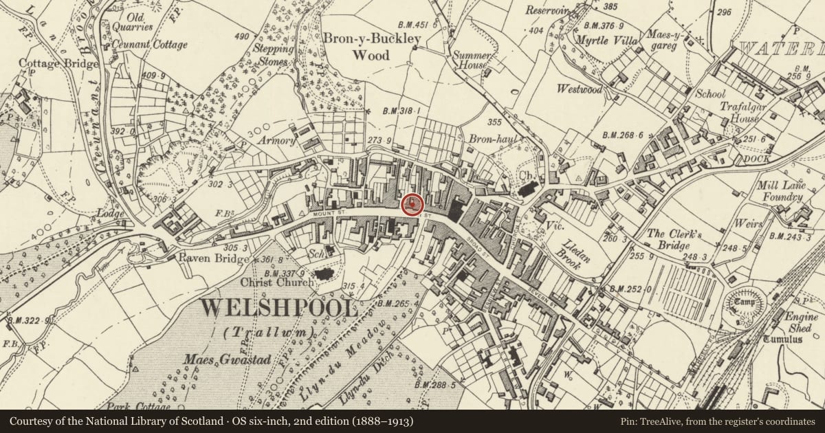 Ordnance Survey six-inch map, 2nd edition (1888–1913) covering the location of 36 High Street, Welshpool, Powys, with a pin at the register's coordinates