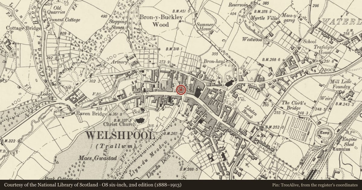 Ordnance Survey six-inch map, 2nd edition (1888–1913) covering the location of 37&38 High Street, Welshpool, Powys, with a pin at the register's coordinates
