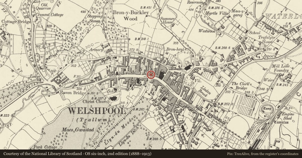 Ordnance Survey six-inch map, 2nd edition (1888–1913) covering the location of 41 High Street, Welshpool, Powys, with a pin at the register's coordinates