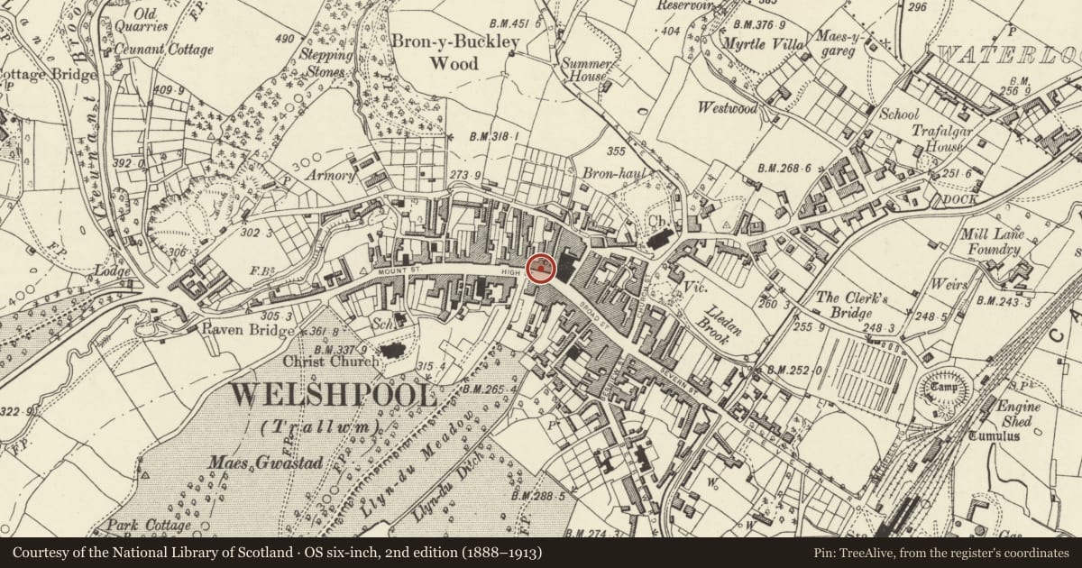 Ordnance Survey six-inch map, 2nd edition (1888–1913) covering the location of 44 High Street, Welshpool, Powys, with a pin at the register's coordinates