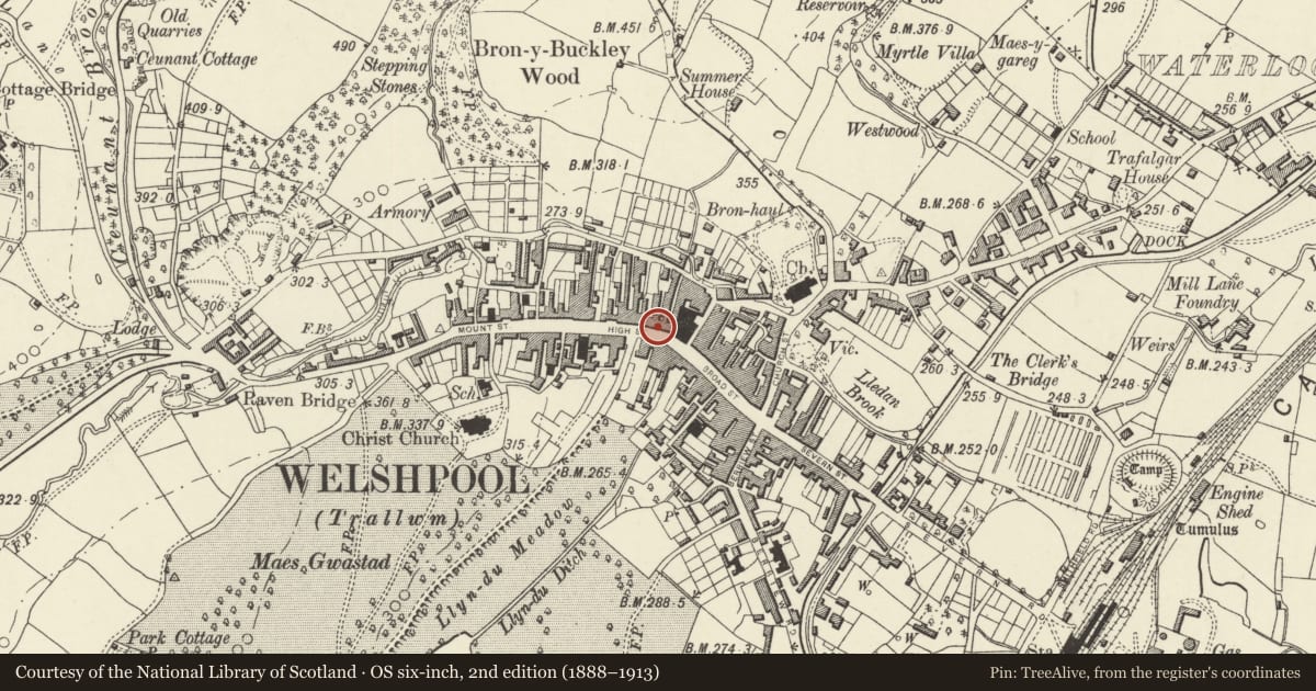 Ordnance Survey six-inch map, 2nd edition (1888–1913) covering the location of 45 High Street, Welshpool, Powys, with a pin at the register's coordinates