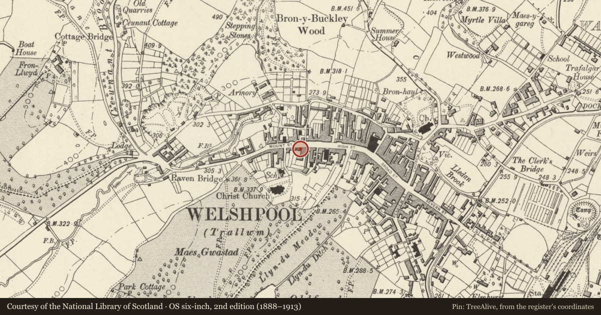 Ordnance Survey six-inch map, 2nd edition (1888–1913) covering the location of 1 Mount Street, Welshpool, Powys, with a pin at the register's coordinates