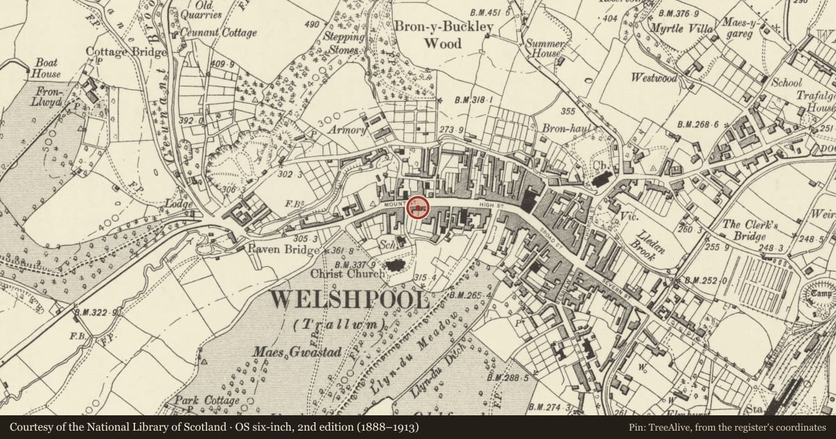 Ordnance Survey six-inch map, 2nd edition (1888–1913) covering the location of Elenydd including railings to forecourt, Welshpool, Powys, with a pin at the register's coordinates