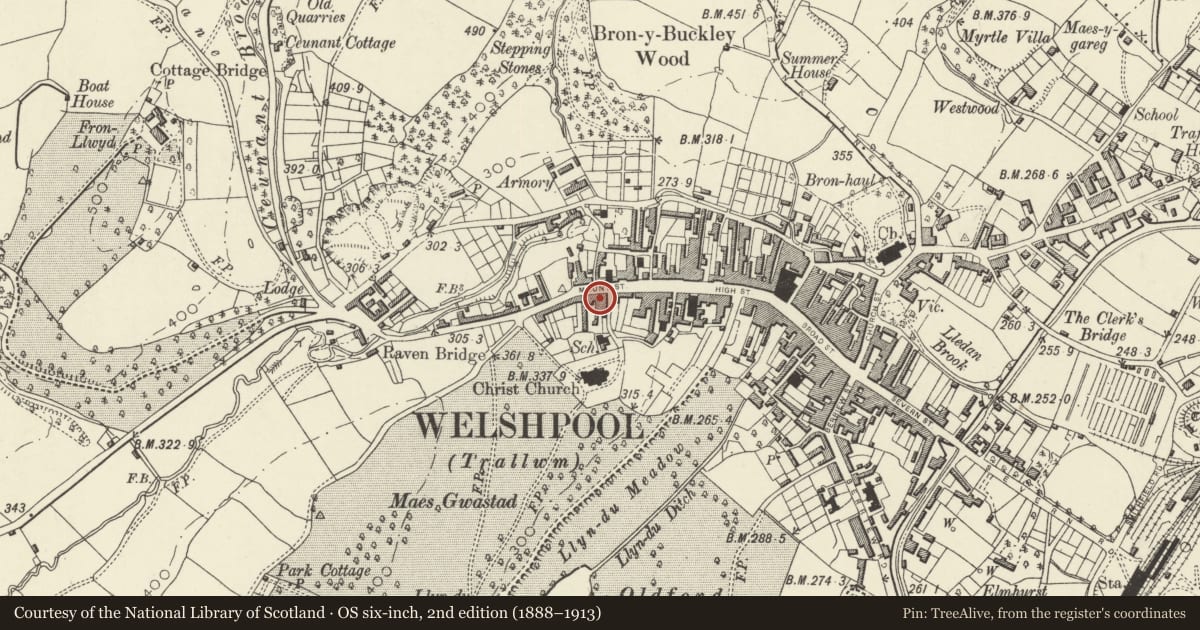 Ordnance Survey six-inch map, 2nd edition (1888–1913) covering the location of The Green Dragon PH, Welshpool, Powys, with a pin at the register's coordinates