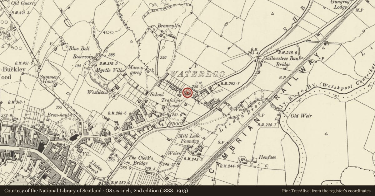Ordnance Survey six-inch map, 2nd edition (1888–1913) covering the location of The Grapes PH, Welshpool, Powys, with a pin at the register's coordinates