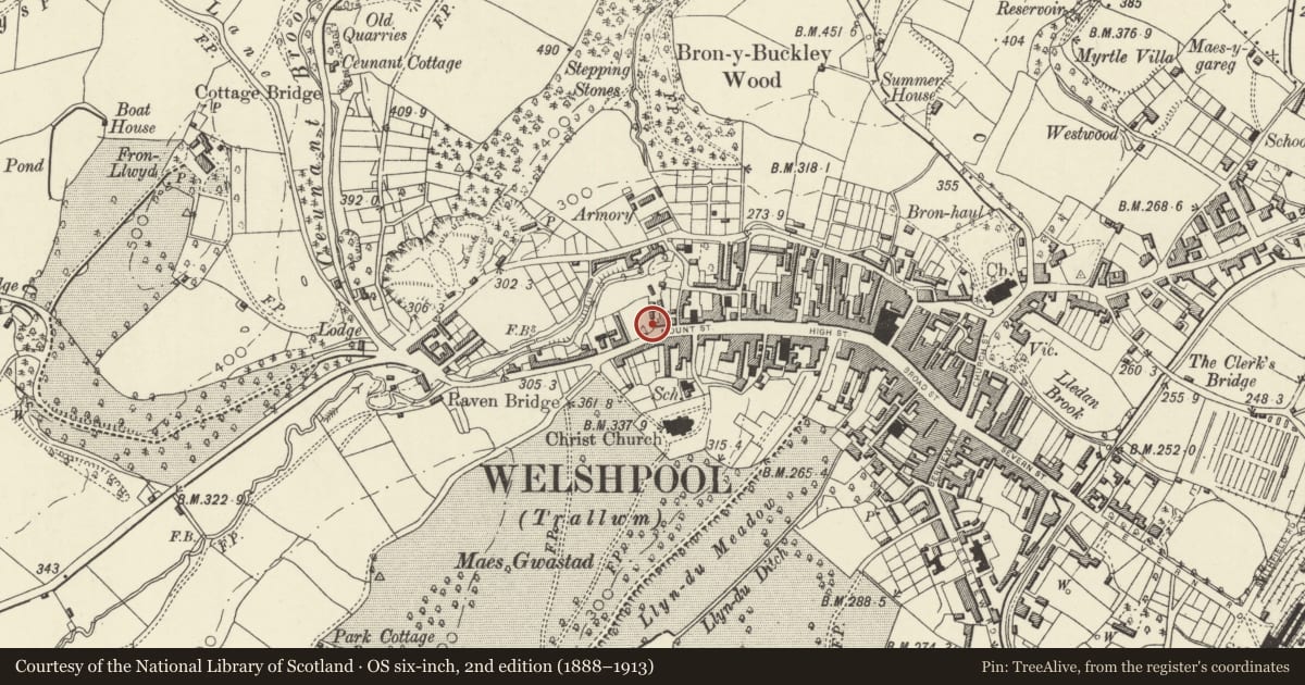 Ordnance Survey six-inch map, 2nd edition (1888–1913) covering the location of 34 Mount Street, Welshpool, Powys, with a pin at the register's coordinates