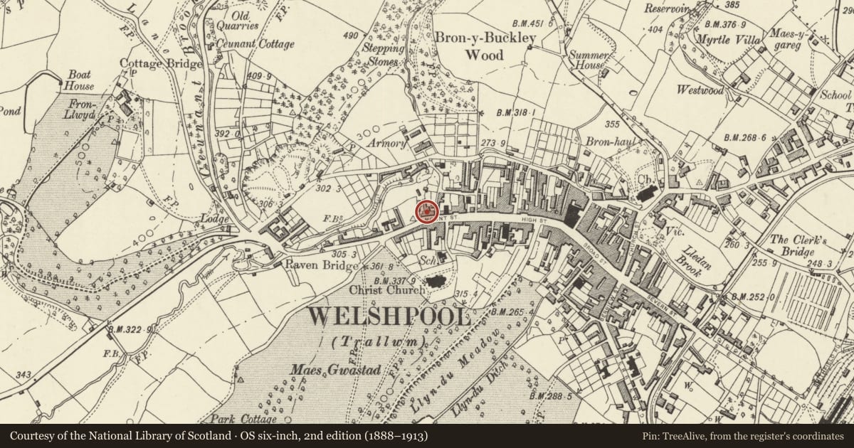 Ordnance Survey six-inch map, 2nd edition (1888–1913) covering the location of 36 Mount Street, Welshpool, Powys, with a pin at the register's coordinates