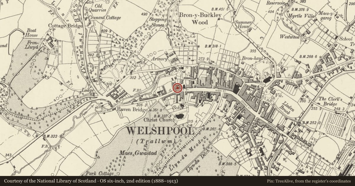 Ordnance Survey six-inch map, 2nd edition (1888–1913) covering the location of 38 Mount Street, Welshpool, Powys, with a pin at the register's coordinates