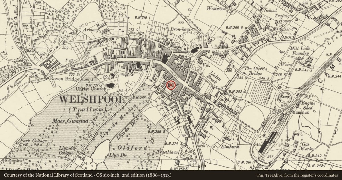 Ordnance Survey six-inch map, 2nd edition (1888–1913) covering the location of Old Cockpit, Welshpool, Powys, with a pin at the register's coordinates