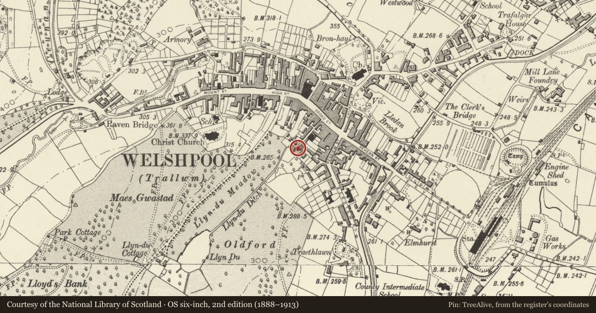 Ordnance Survey six-inch map, 2nd edition (1888–1913) covering the location of Victoria House, Welshpool, Powys, with a pin at the register's coordinates
