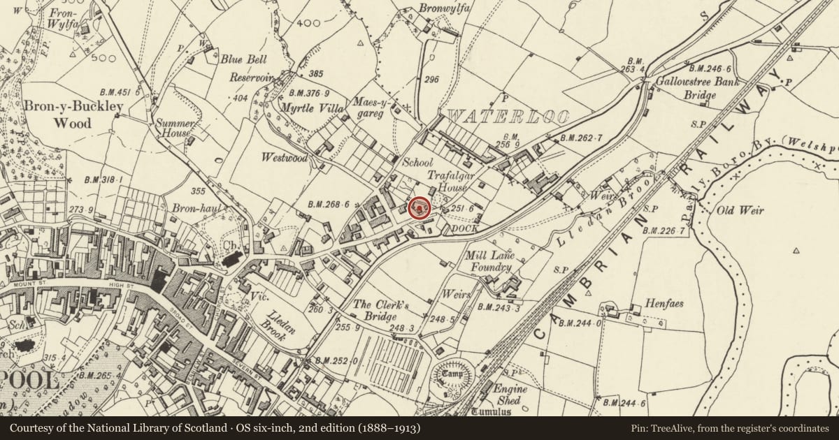 Ordnance Survey six-inch map, 2nd edition (1888–1913) covering the location of South View, Welshpool, Powys, with a pin at the register's coordinates