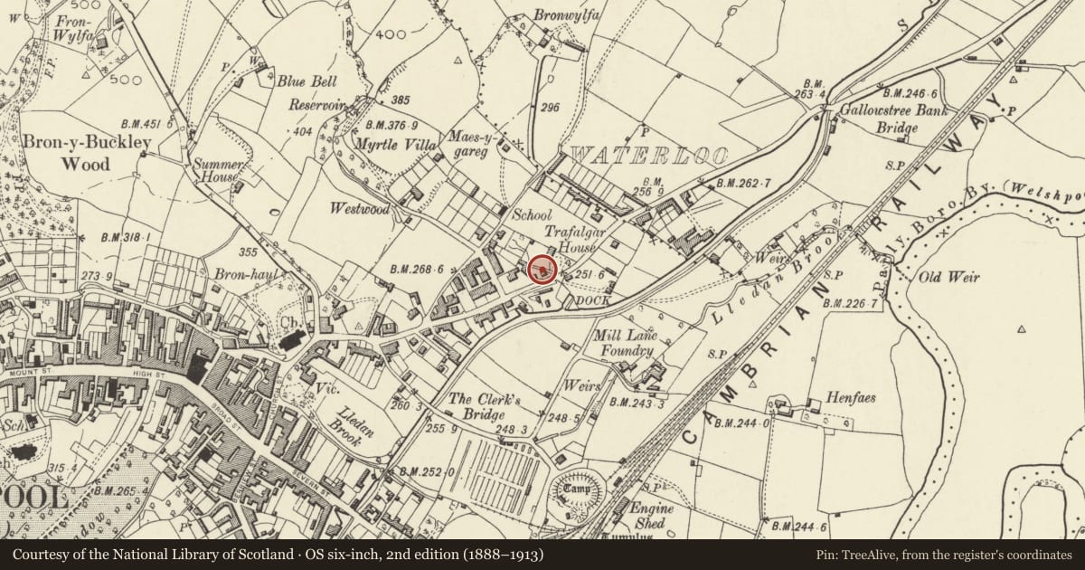 Ordnance Survey six-inch map, 2nd edition (1888–1913) covering the location of Sunville, Welshpool, Powys, with a pin at the register's coordinates