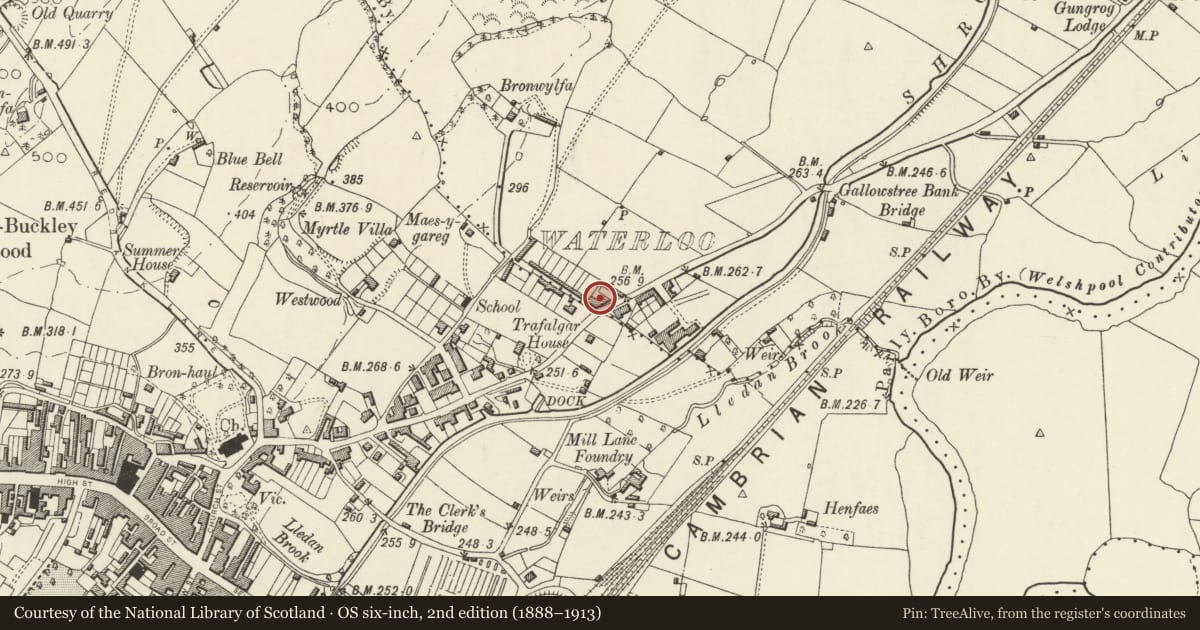 Ordnance Survey six-inch map, 2nd edition (1888–1913) covering the location of Sussex House, Welshpool, Powys, with a pin at the register's coordinates