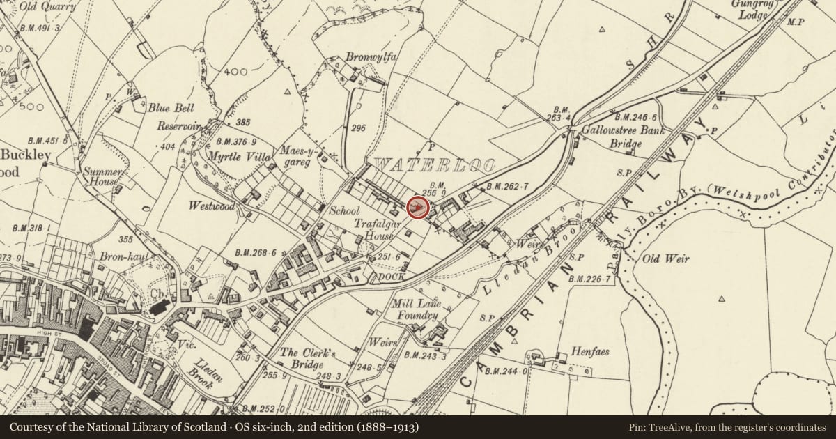 Ordnance Survey six-inch map, 2nd edition (1888–1913) covering the location of Railings and Gates to Grapes PH, Sussex House and Heath Bank, Welshpool, Powys, with a pin at the register's coordinates