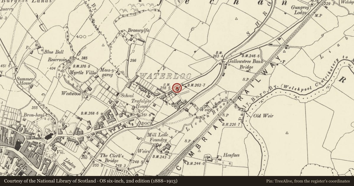 Ordnance Survey six-inch map, 2nd edition (1888–1913) covering the location of Bodowen, including railings to streets on N and W, Welshpool, Powys, with a pin at the register's coordinates