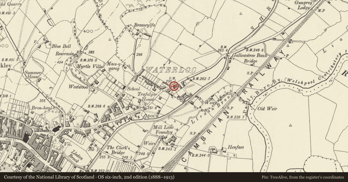 Ordnance Survey six-inch map, 2nd edition (1888–1913) covering the location of 1 Waterloo Terrace, Welshpool, Powys, with a pin at the register's coordinates