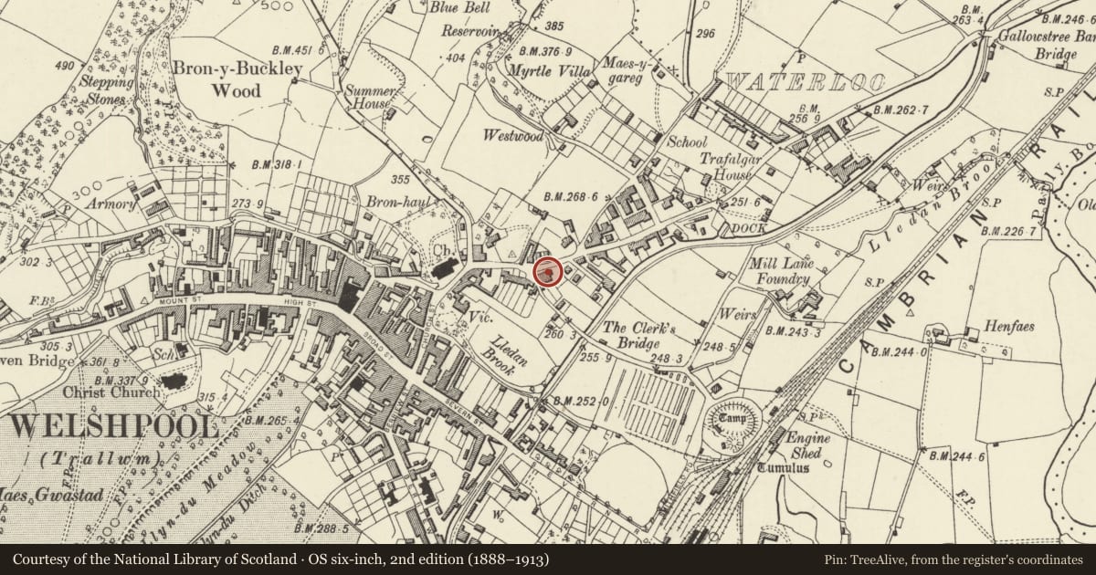 Ordnance Survey six-inch map, 2nd edition (1888–1913) covering the location of 38 Salop Road, Welshpool, Powys, with a pin at the register's coordinates