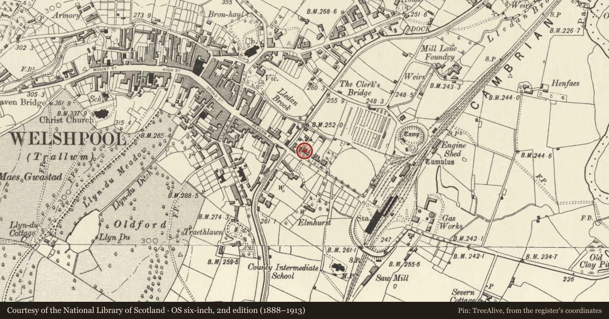 Ordnance Survey six-inch map, 2nd edition (1888–1913) covering the location of Clive Place, Welshpool, Powys, with a pin at the register's coordinates