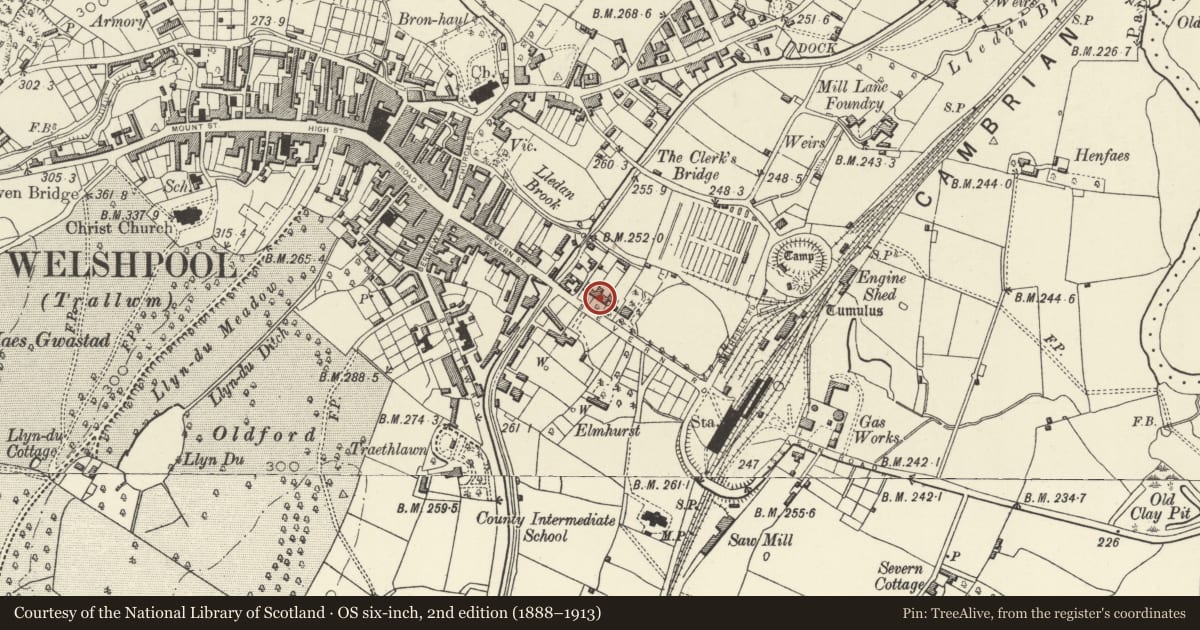 Ordnance Survey six-inch map, 2nd edition (1888–1913) covering the location of Clive Place, Welshpool, Powys, with a pin at the register's coordinates