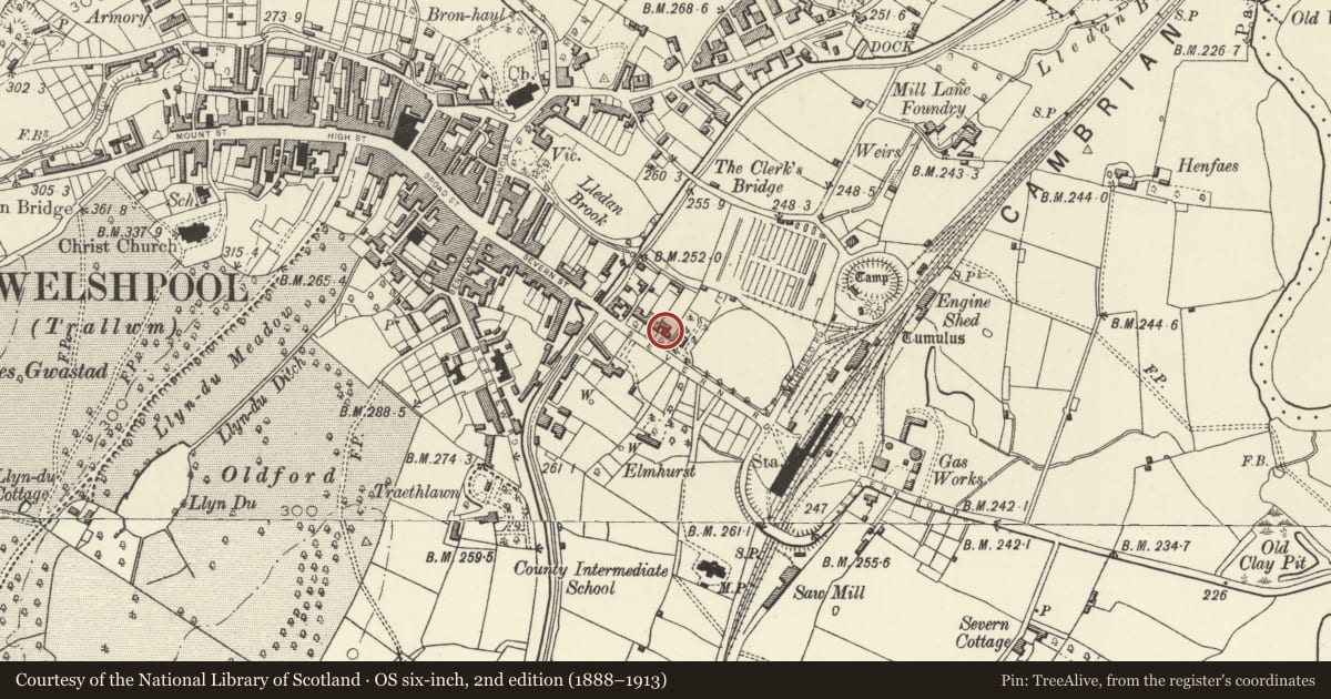 Ordnance Survey six-inch map, 2nd edition (1888–1913) covering the location of Clive Place, Welshpool, Powys, with a pin at the register's coordinates
