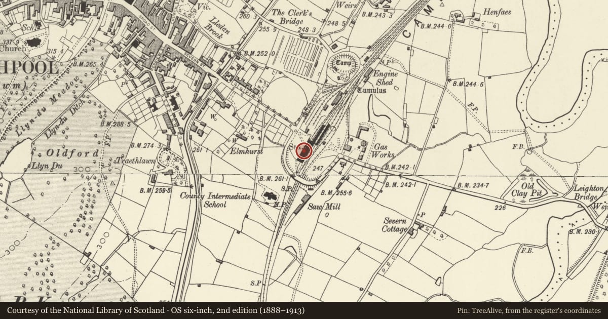 Ordnance Survey six-inch map, 2nd edition (1888–1913) covering the location of Welshpool Railway Station Buildings, Powys, with a pin at the register's coordinates