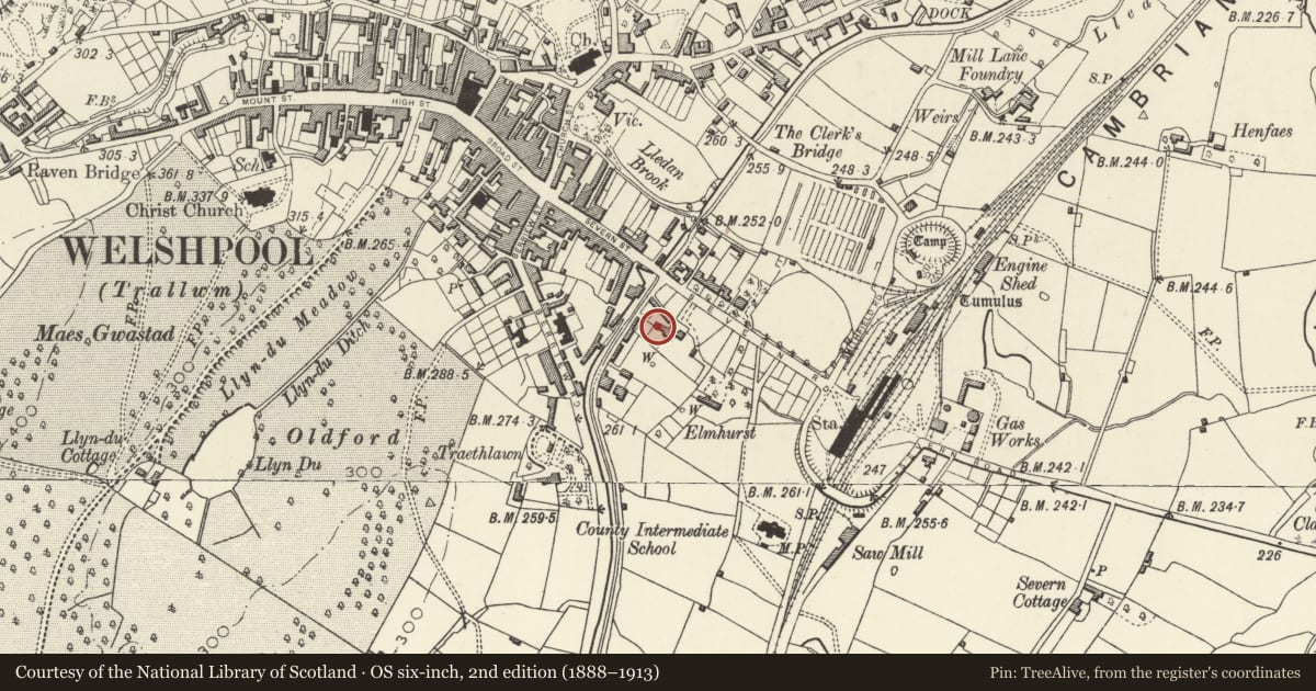 Ordnance Survey six-inch map, 2nd edition (1888–1913) covering the location of Dolanog Cottages, Welshpool, Powys, with a pin at the register's coordinates
