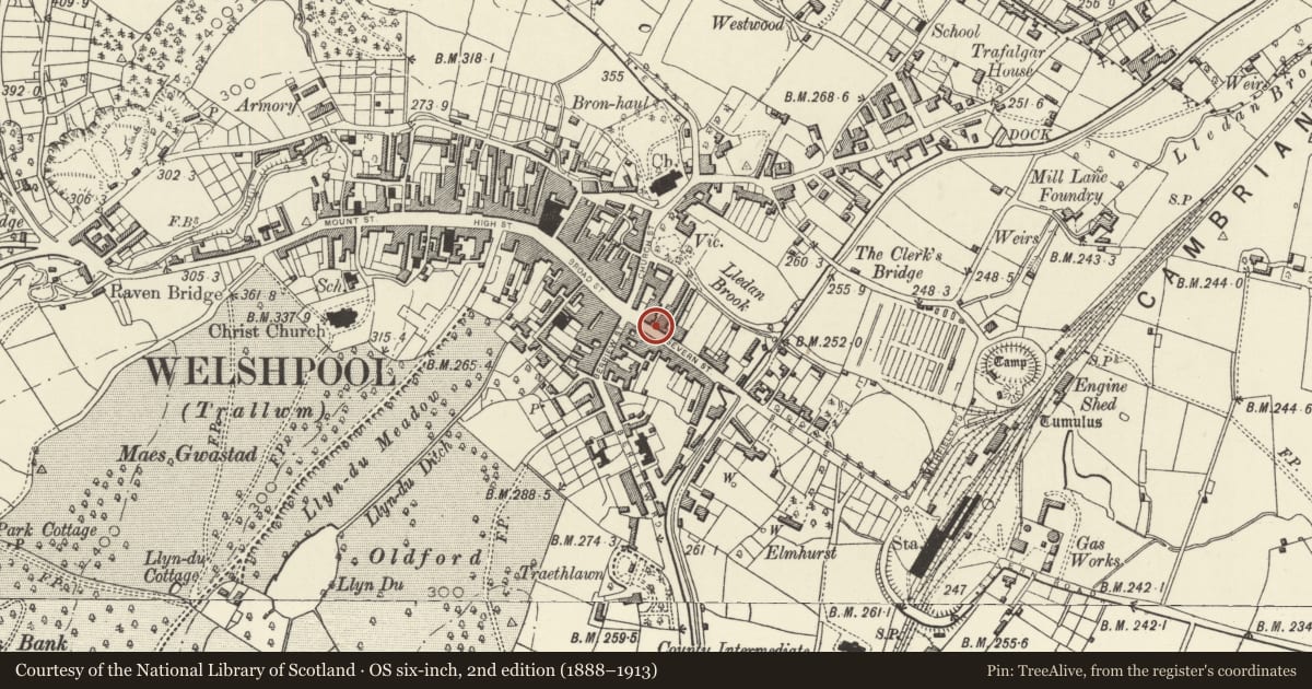 Ordnance Survey six-inch map, 2nd edition (1888–1913) covering the location of Trustees Savings Bank, Welshpool, Powys, with a pin at the register's coordinates