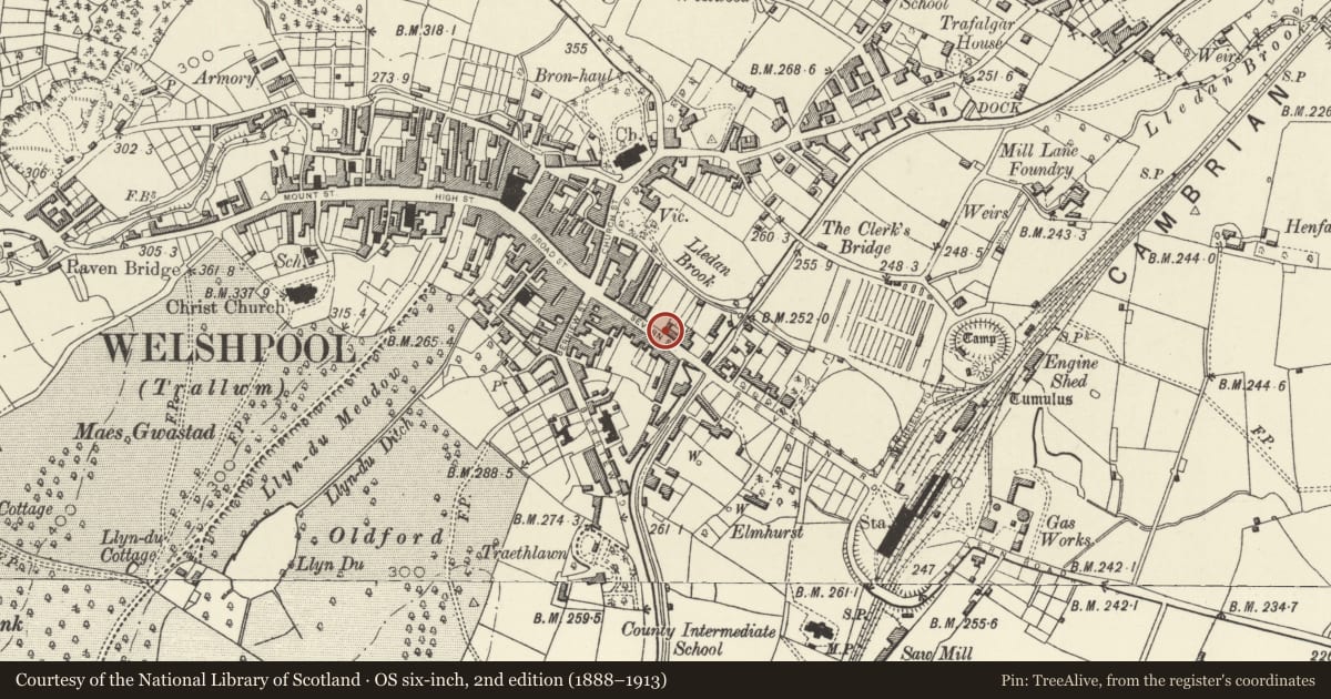 Ordnance Survey six-inch map, 2nd edition (1888–1913) covering the location of 10 Severn Street, Welshpool, Powys, with a pin at the register's coordinates