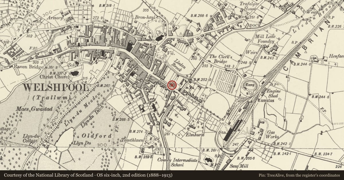 Ordnance Survey six-inch map, 2nd edition (1888–1913) covering the location of 12 Severn Street, Welshpool, Powys, with a pin at the register's coordinates