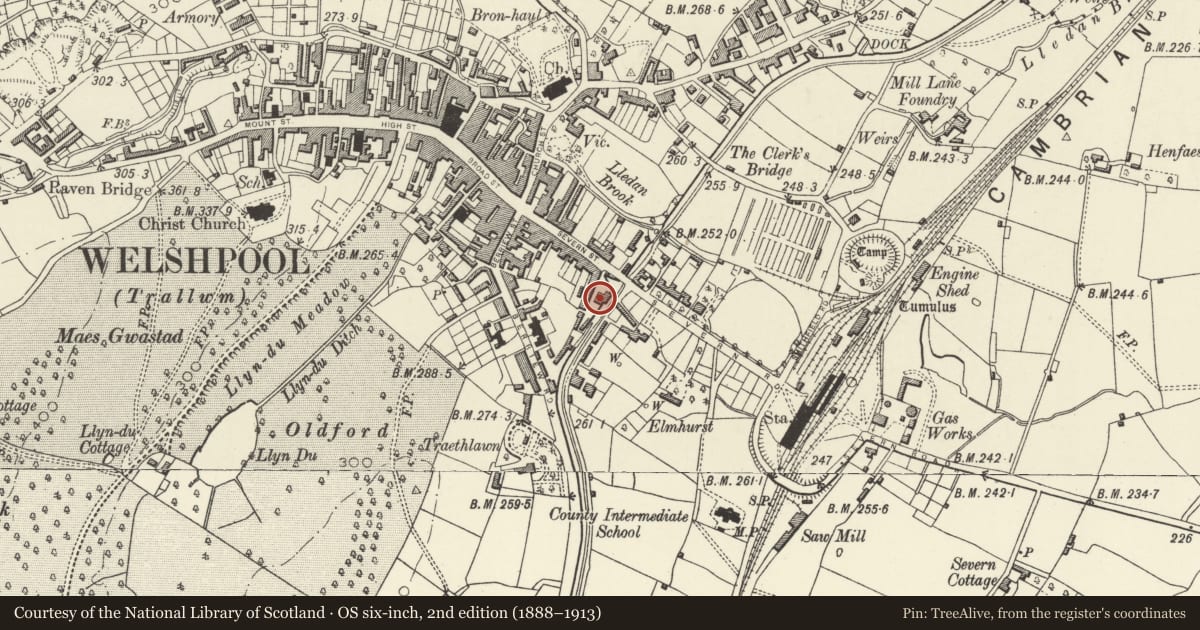 Ordnance Survey six-inch map, 2nd edition (1888–1913) covering the location of Powysland Museum (Town Wharf Warehouse), Welshpool, Powys, with a pin at the register's coordinates