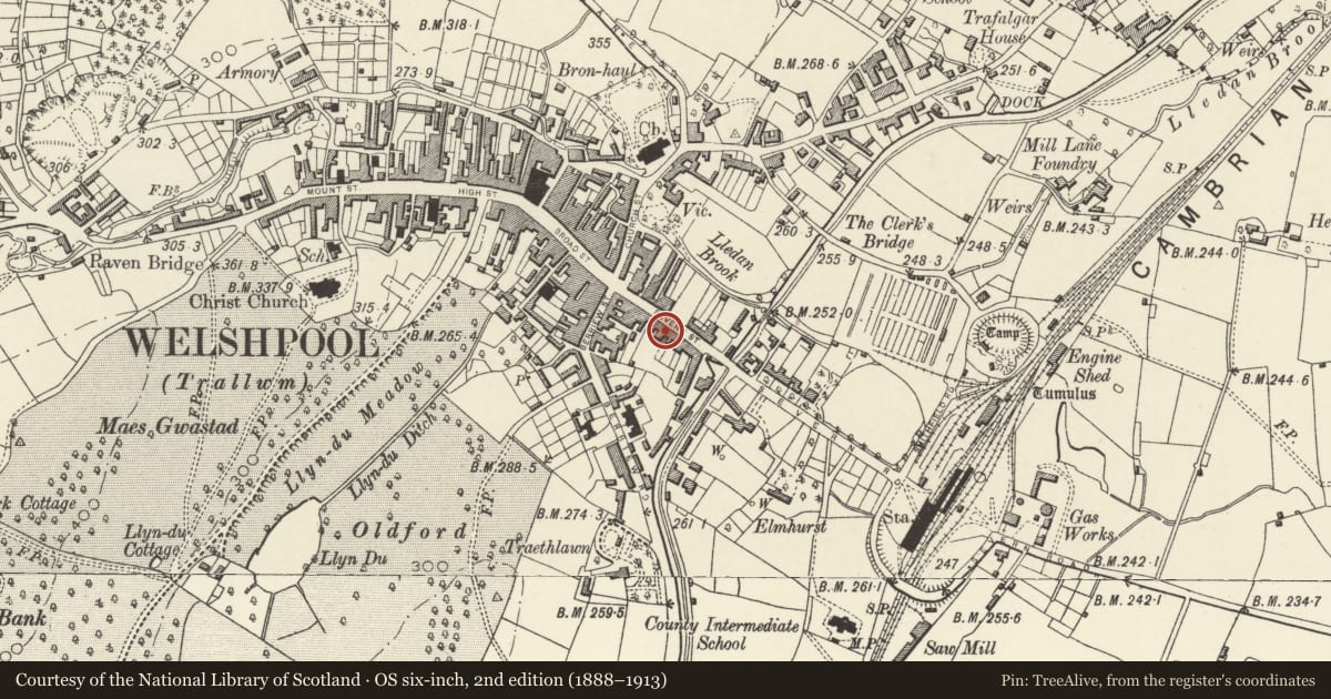 Ordnance Survey six-inch map, 2nd edition (1888–1913) covering the location of 23 Severn Street, Welshpool, Powys, with a pin at the register's coordinates