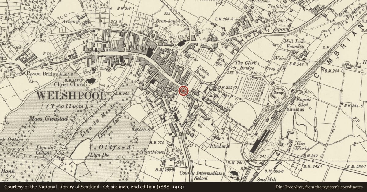 Ordnance Survey six-inch map, 2nd edition (1888–1913) covering the location of Mansion House including railings to street, Welshpool, Powys, with a pin at the register's coordinates