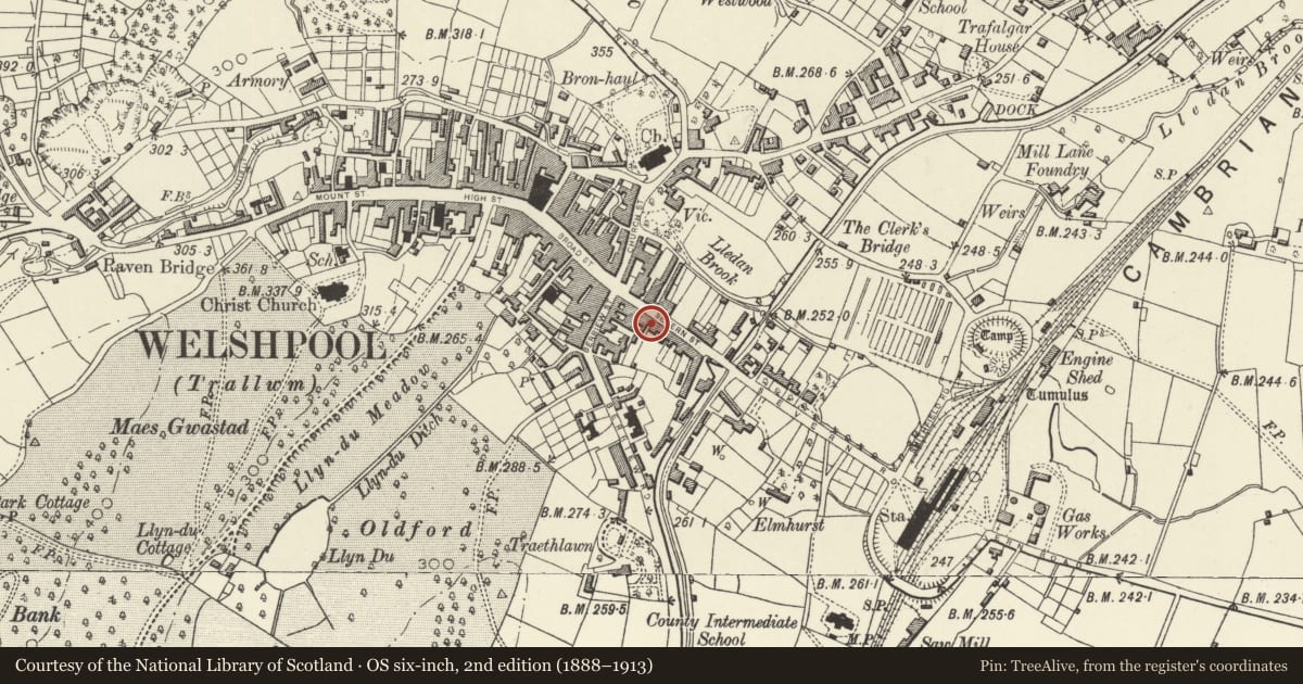 Ordnance Survey six-inch map, 2nd edition (1888–1913) covering the location of 25 Severn Street, Welshpool, Powys, with a pin at the register's coordinates