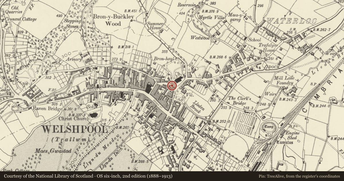 Ordnance Survey six-inch map, 2nd edition (1888–1913) covering the location of Pair of Inscribed Stones in Union Bridge Parapet, Welshpool, Powys, with a pin at the register's coordinates