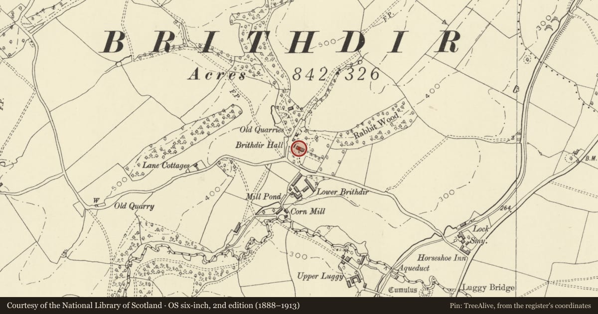 Ordnance Survey six-inch map, 2nd edition (1888–1913) covering the location of Brithdir Hall, Berriew, Powys, with a pin at the register's coordinates