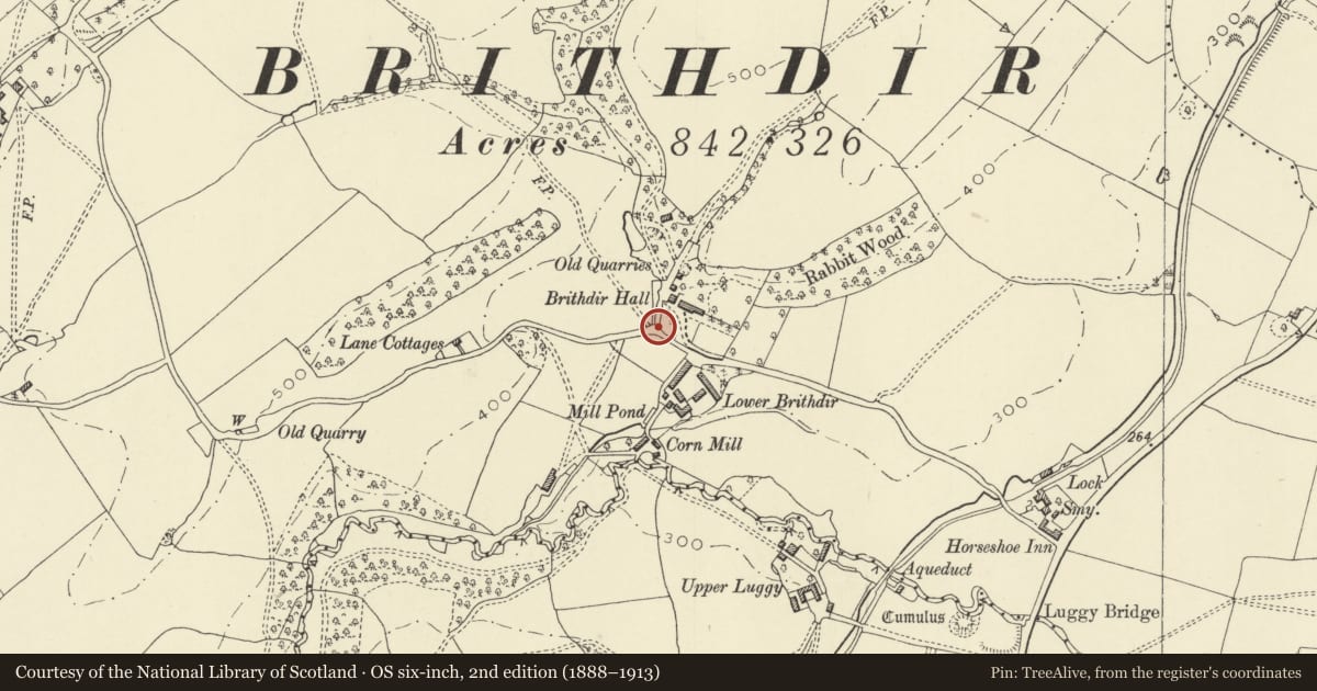 Ordnance Survey six-inch map, 2nd edition (1888–1913) covering the location of Flanking Walls to Brithdir Hall, Berriew, Powys, with a pin at the register's coordinates