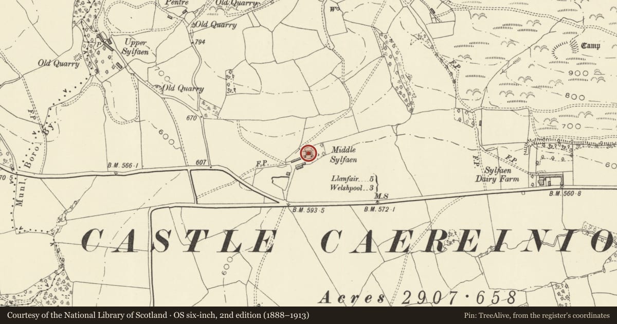 Ordnance Survey six-inch map, 2nd edition (1888–1913) covering the location of Middle Sylfaen Farmhouse, Castle Caereinion, Powys, with a pin at the register's coordinates