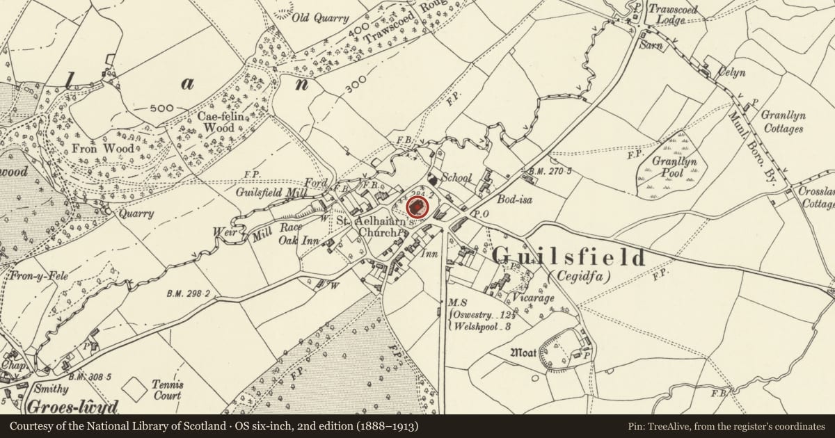 Ordnance Survey six-inch map, 2nd edition (1888–1913) covering the location of Church of St Aelhaiarn including Outbuilding to W end of N Aisle and outbuilding on W side of Porch, Guilsfield, Powys, with a pin at the register's coordinates