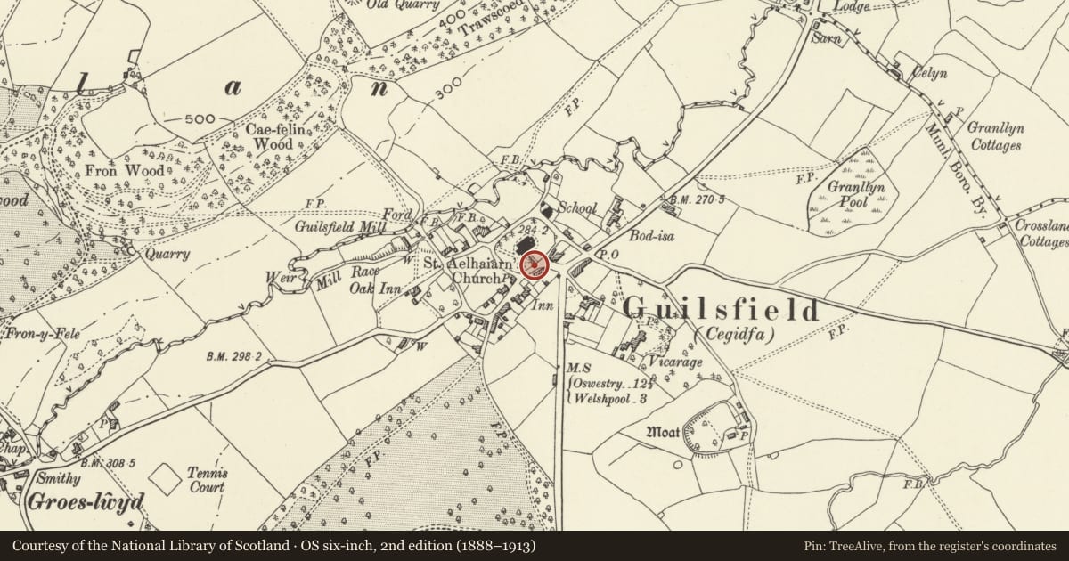 Ordnance Survey six-inch map, 2nd edition (1888–1913) covering the location of Jones Monument, close to the south gatesof the churchyard, Guilsfield, Powys, with a pin at the register's coordinates