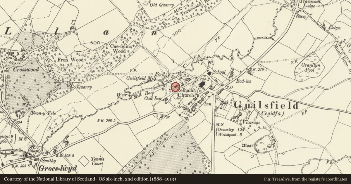 Ordnance Survey six-inch map, 2nd edition (1888–1913) covering the location of Cil Haul, Guilsfield, Powys, with a pin at the register's coordinates