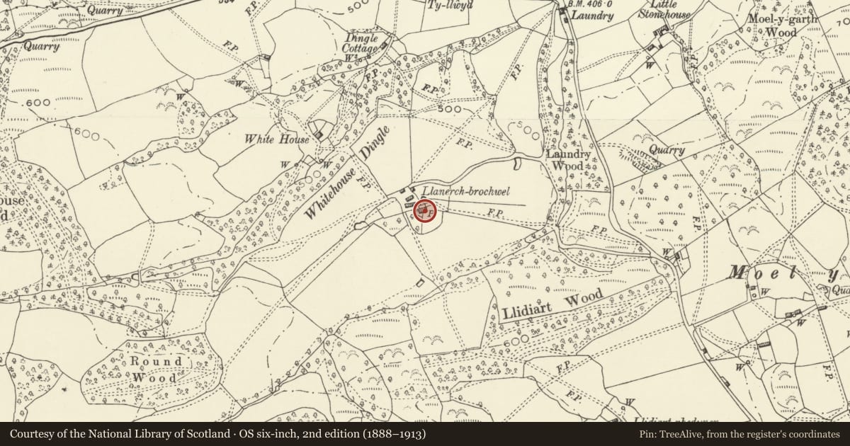 Ordnance Survey six-inch map, 2nd edition (1888–1913) covering the location of Llanerch Brochwell, Guilsfield, Powys, with a pin at the register's coordinates
